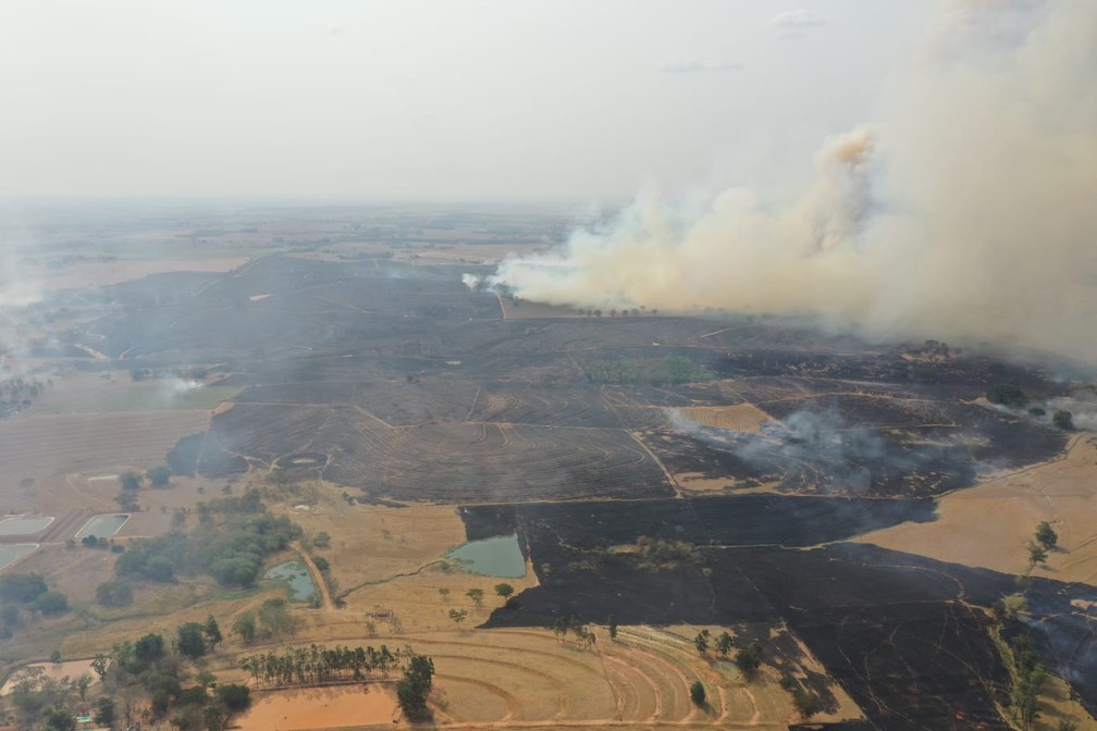 Incêndio em vegetação atingiu 400 mil metros quadrados e formou nuvem gigante de fumaça em Junqueirópolis — Foto: Márcio Cabanhas