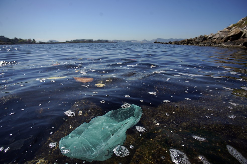 Sacola plástica boia na Praia do Flamengo, na Baía de Guanabara — Foto: Marcos Serra Lima/G1