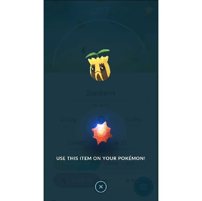 Sunkern é o único personagem da segunda geração de Pokémon GO a exigir itens para evoluir (Foto: Reprodução/Felipe Demartini)