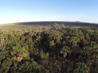 Brasil usará drones para vigiar mata na Amazônia e no Cerrado