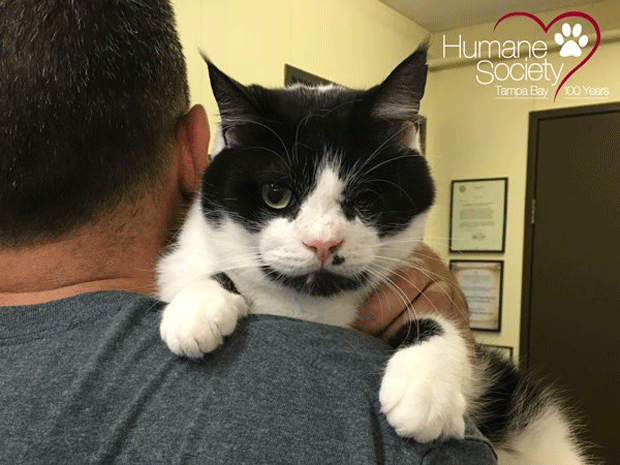 O GATO QUE VIROU ZUMBI! 🧟‍♂️🐱 