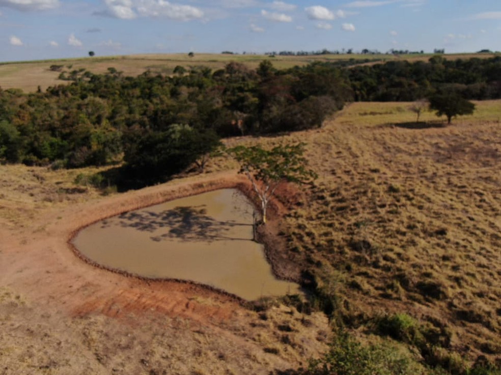 Fazendeiro foi multado em R$ 2,2 mil por degradação em uma APP, em Pirapozinho — Foto: Polícia Militar Ambiental