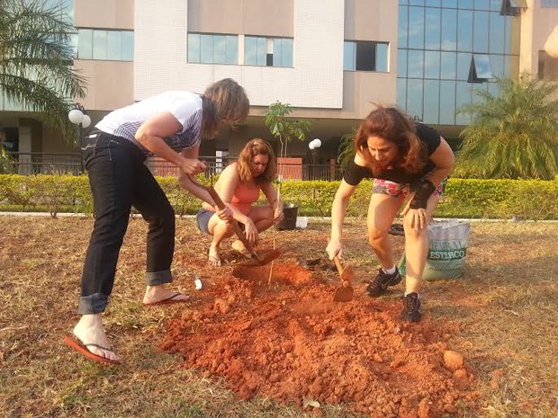 As vizinhas Edileusa, Denise e Andrea plantam muda de ipê em quadra de Brasília (Foto: Raquel Morais/G1)