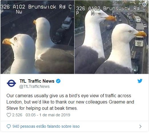 Publicação no Twitter da Transport for London (TfL) diz: “As nossas câmaras geralmente dão-nos uma visão panorâmica do tráfego em Londres, mas gostaríamos de agradecer aos nossos novos colegas Graeme e Steve por ajudar nos momentos de pico” (Foto: Reprodução: Twitter)