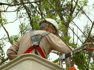 Funcionário da CPFL trabalha para recuperar serviço de energia elétrica em Americana, SP (Foto: Reprodução / EPTV)