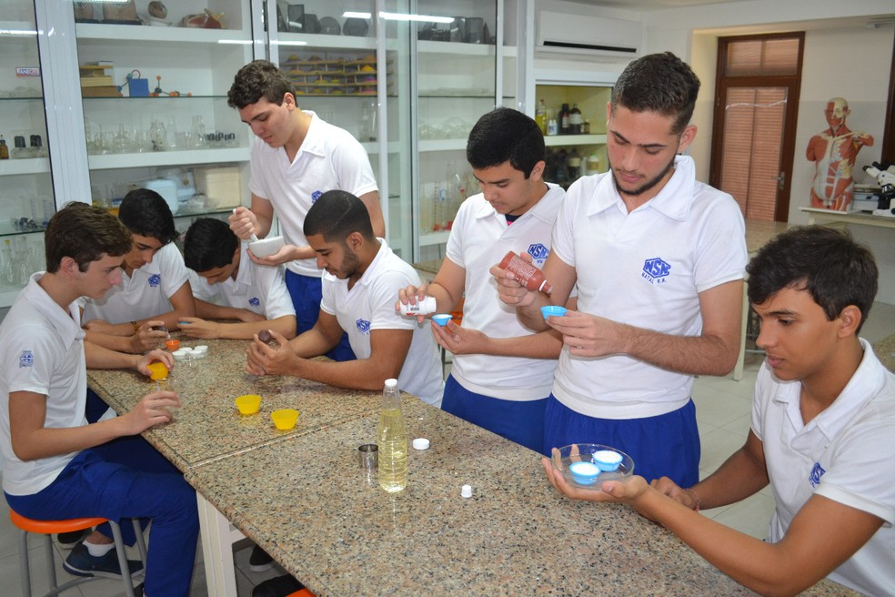 Estudantes de Natal desenvolveram pastilha contra mosquito da dengue para evento de ciências (Foto: Divulgação)