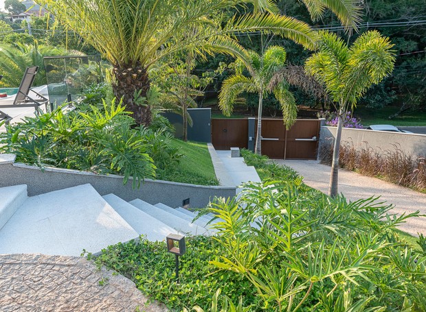 Em todo o projeto da paisagista Renata Guastelli, o jardim abraça a arquitetura. Na escada próxima à entrada, os canteiros de guaimbê trazem fluidez à estrutura  (Foto: Miro Martins / Divulgação)