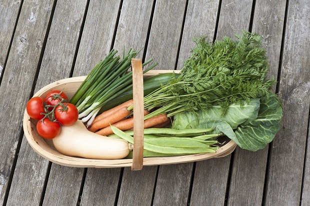 Fresh garden vegetables in a wooden trug. (Photo by: Education Images/Universal Images Group via Getty Images) (Foto: Universal Images Group via Getty)