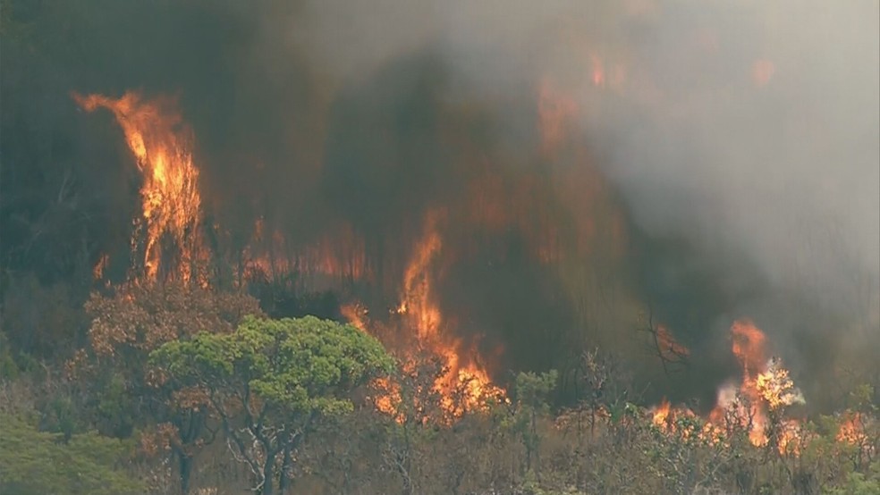 Incêndio na Floresta Nacional de Brasília (Flona), nesta segunda-feira (5) — Foto: TV Globo/Reprodução
