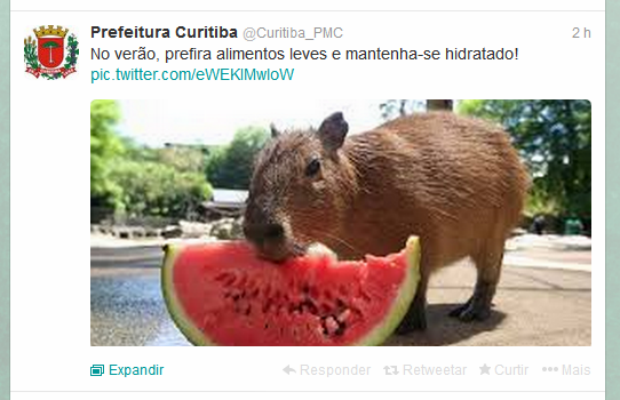 A Capivara Curitibana