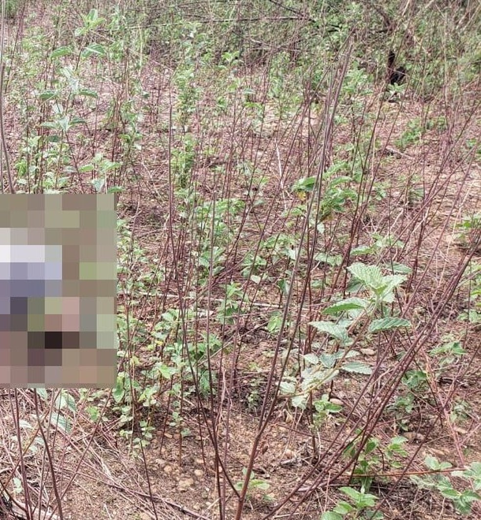 Corpo foi encontrado em Mossoró — Foto: Divulgação