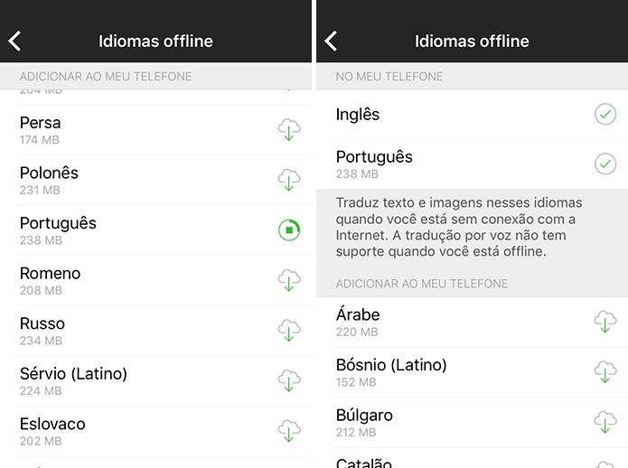 Microsoft Translator mostra idiomas offline no topo da tela (Foto: Reprodução/Elson de Souza)