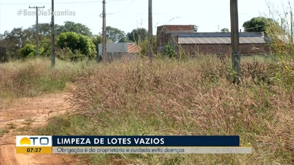 Obrigação da limpeza de lotes vazios é dos donos dos terrenos