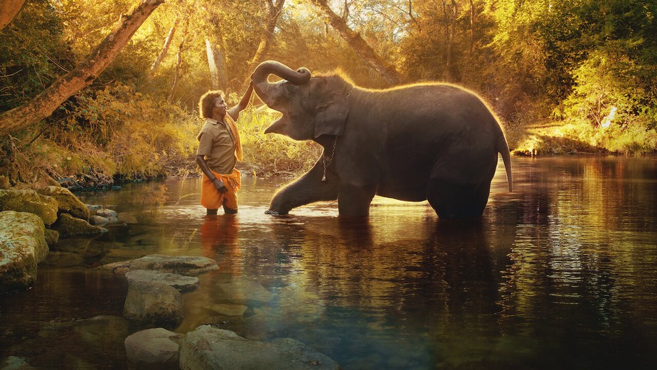 'Como Cuidar de um Bebê Elefante', disponível na Netflix