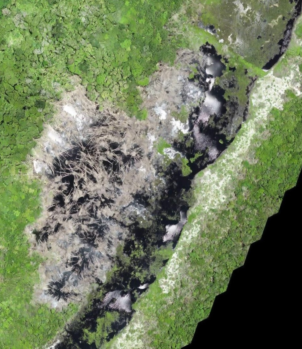 Imagem Iema/Divulgação