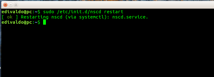 Reiniciando o cache do DNS no Linux (Foto: Reprodução/Edivaldo Brito)
