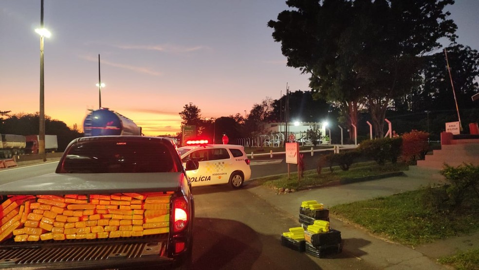 Motorista fugiu do local após bater em uma árvore  — Foto: Redes Sociais/Reprodução