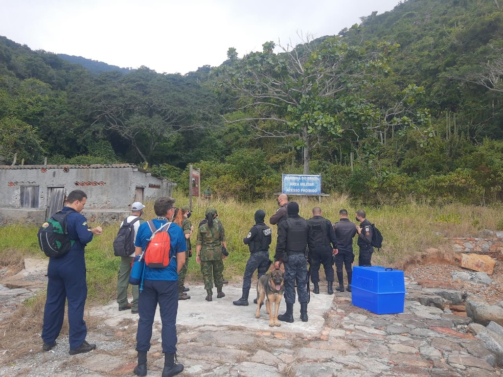 Ação da Marinha em parceria com o ICMBio, PM e Guarda Municipal visa reconhecer território da Ilha do Farol, em Arraial do Cabo, no RJ — Foto: Divulgação/Prefeitura