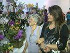 Festa da orquídea traz mais de duas mil flores em Várzea Paulista