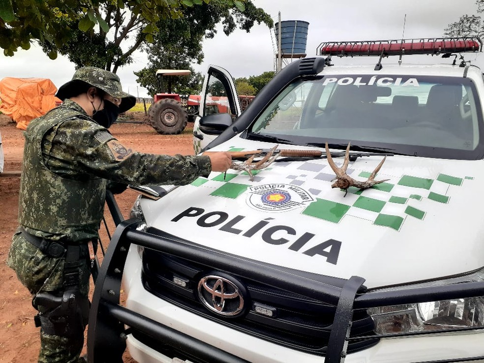 Itens foram apreendidos em uma fazenda, em Anhumas — Foto: Polícia Militar Ambiental