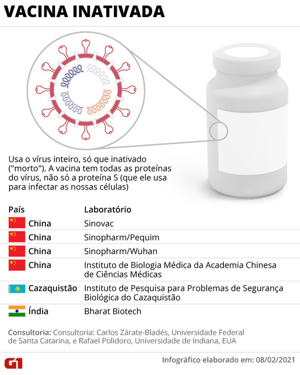 Infográfico mostra como funcionam vacinas inativadas contra o coronavírus — Foto: Anderson Cattai/G1