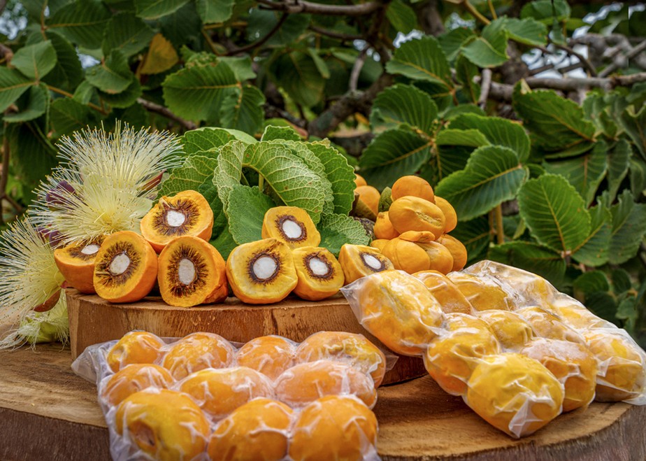 A fruta, típica do Cerrado, é muito consumida em toda a região central do Brasil