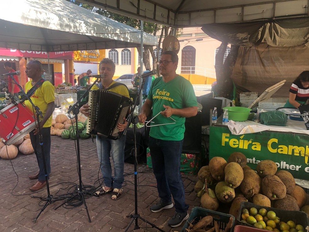 Pinókio do Acordeon anjima o público na Feira Camponesa na Serraria — Foto: Nick Marone/TV Gazeta