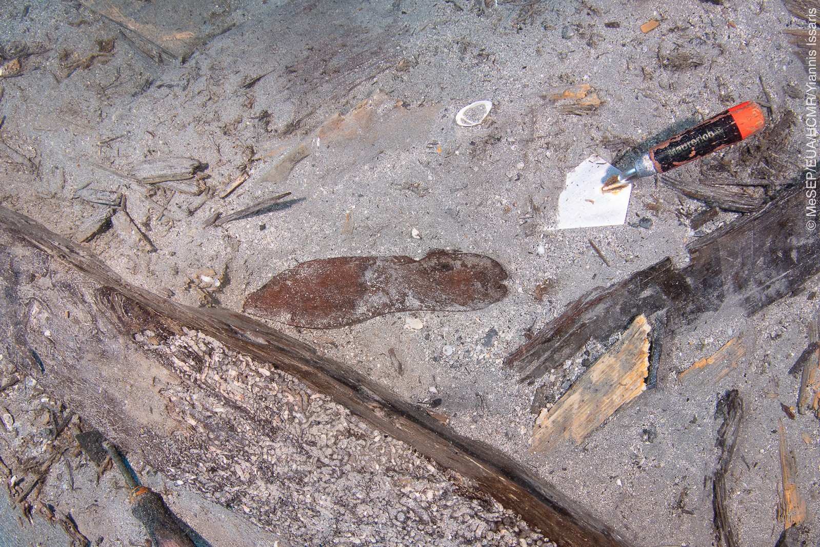 Sola de couro de um sapato é encontrada no navio naufragado (Foto: Yiannis Issaris)