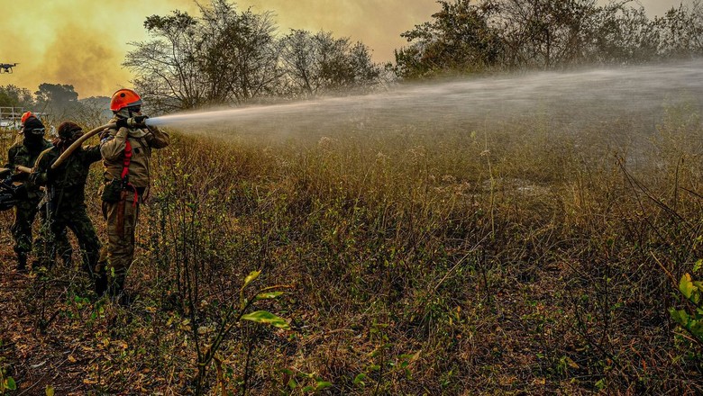 mt-queimadas-pantanal (Foto: Agência Brasil)