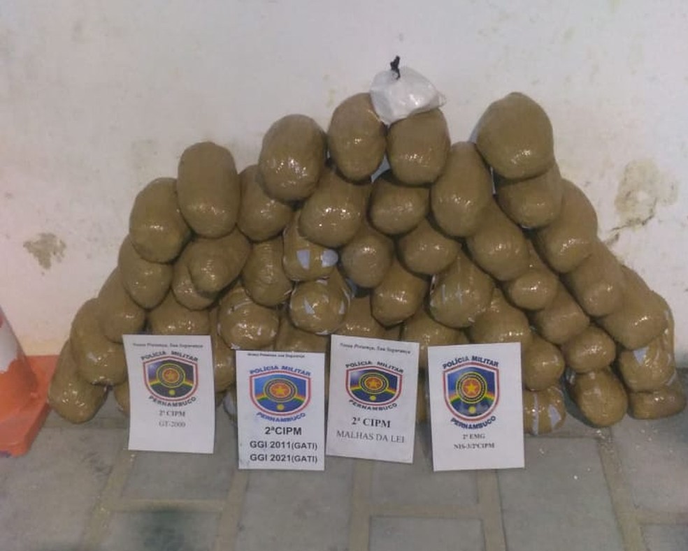 Maconha apreendida dentro de veículo em Cabrobó — Foto: Divulgação/ 2ª CIPM