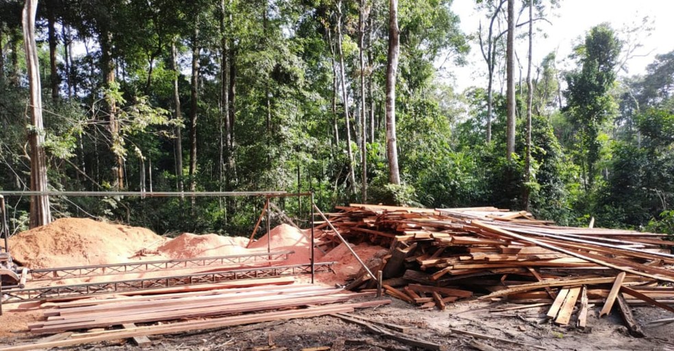 Madeira beneficiada foi encontrada na região do Chapadão, em Santarém — Foto: 1ª Cipamb/Divulgação