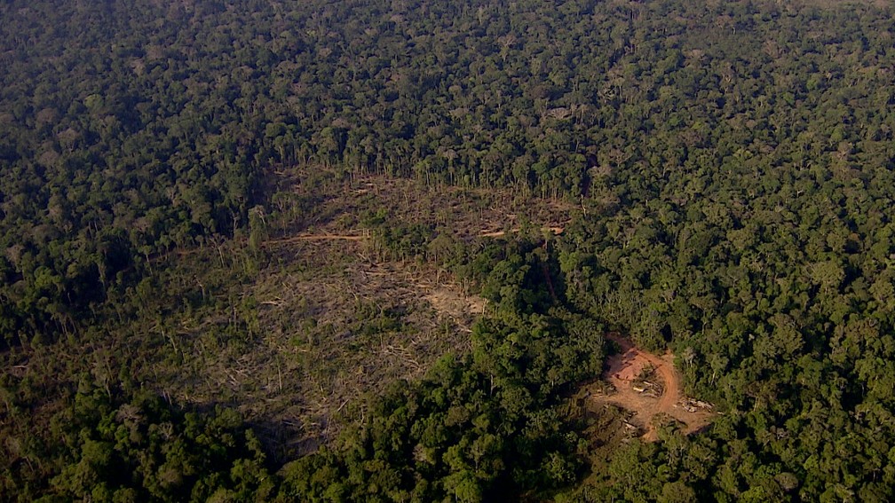 Imagem aérea feita na terça-feira, 16 de agosto de 2022, mostra desmatamento entre os estados de Rondônia e Amazonas.  — Foto: Ruan Gabriel/Rede Amazônica 