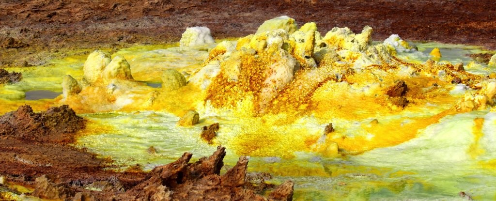 Um time internacional de pesquisadores descobriu um micróbio em uma região geotérmica na Etiópia. O local é tão hostil, que foi comparado com as condições de Marte  (Foto: Gomez et al., Scientific Reports, 2019)