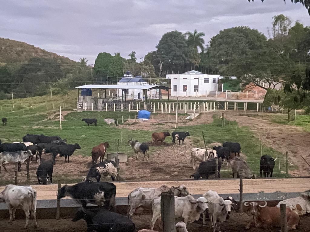 Fazenda Grotadas investe na produção de leite A2 (Foto: Divulgação)