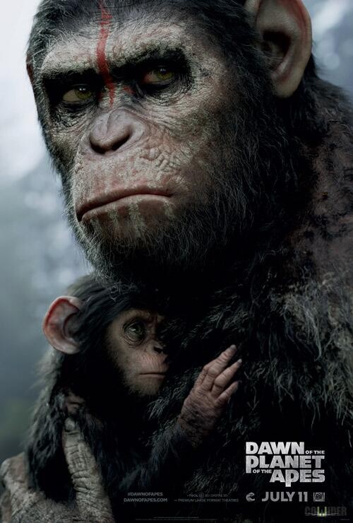 'Planeta dos Macacos: O Confronto' (Foto: Divulgação/ReproduçãoCollider)