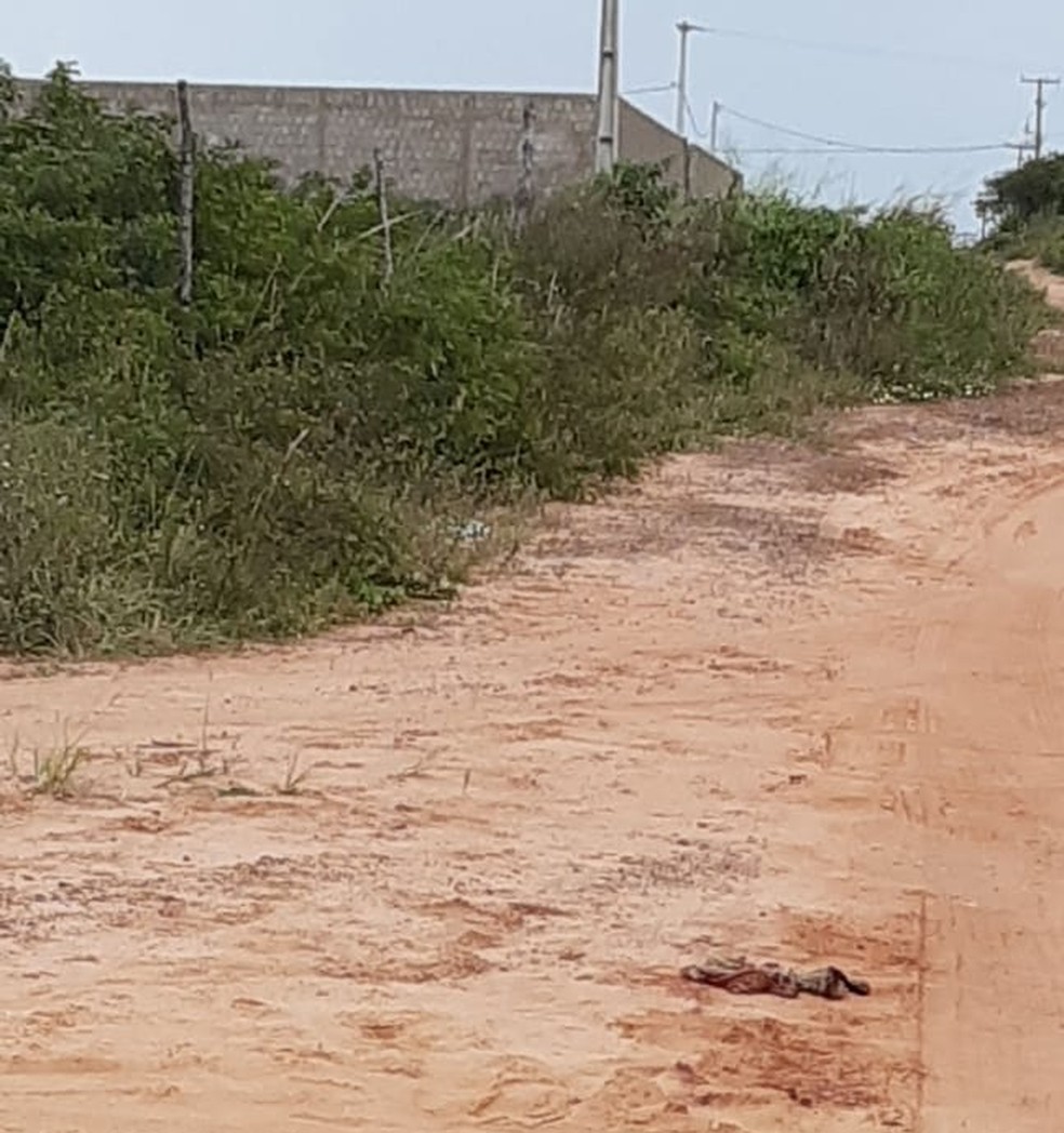 VÃ­tima foi deixada em estrada de terra na regiÃ£o conhecida como Taborda, em SÃ£o JosÃ© de Mipibu.  â€” Foto: SÃ©rgio Henrique Santos/Inter TV Cabugi