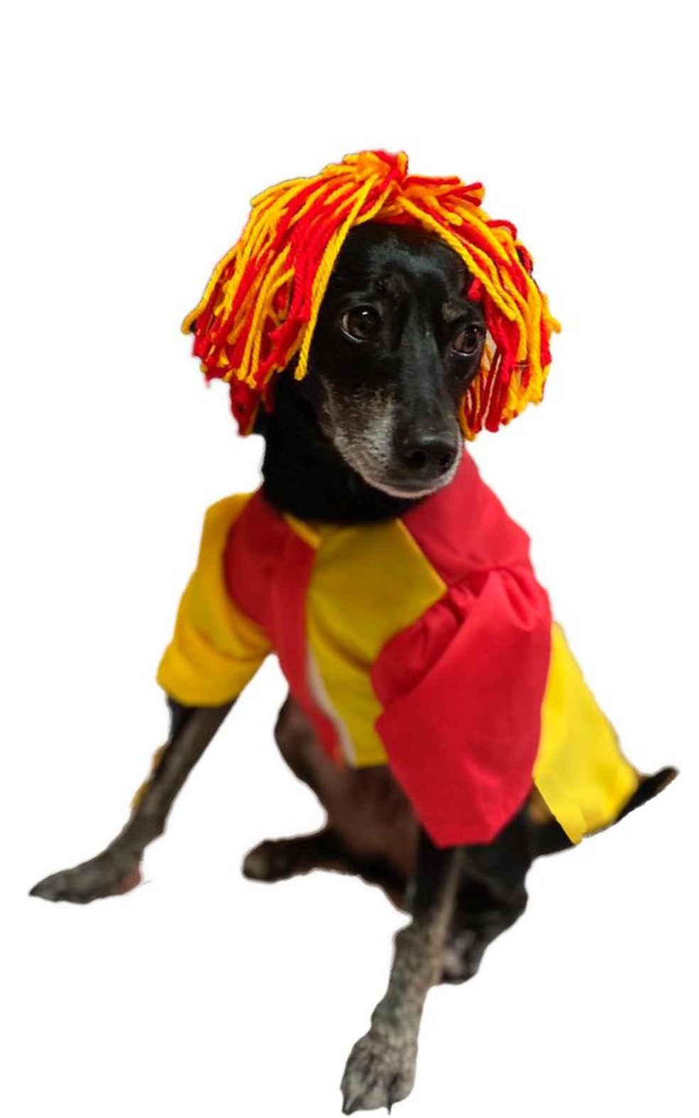 Fantasia Emília. A partir de R$ 79,90, na Fashion Puppies — Foto: Fashion Puppies/ Divulgação