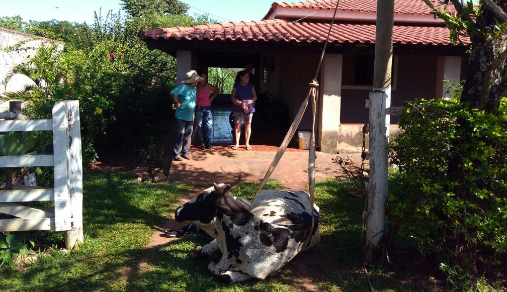 Bombeiros improvisraam um 