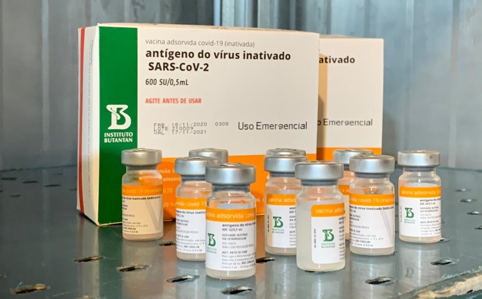 Doses da vacina Coronavac distribuídas pelo Instituto Butantan no estado de São Paulo. — Foto: Antonio Ferreira/TV TEM