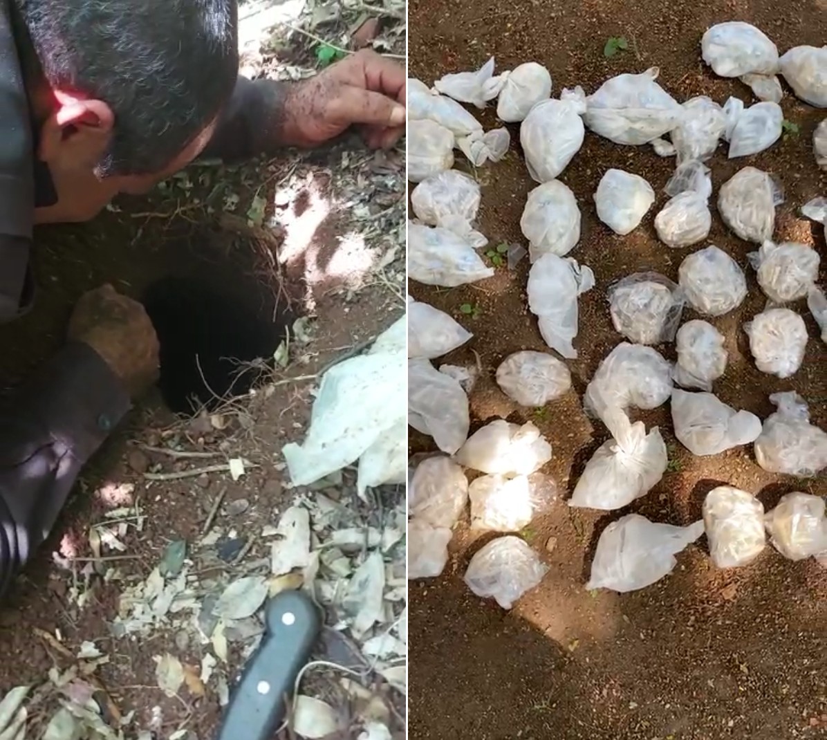Polícia Militar acha cocaína enterrada em área de mata no Jacaré, em Cabo Frio