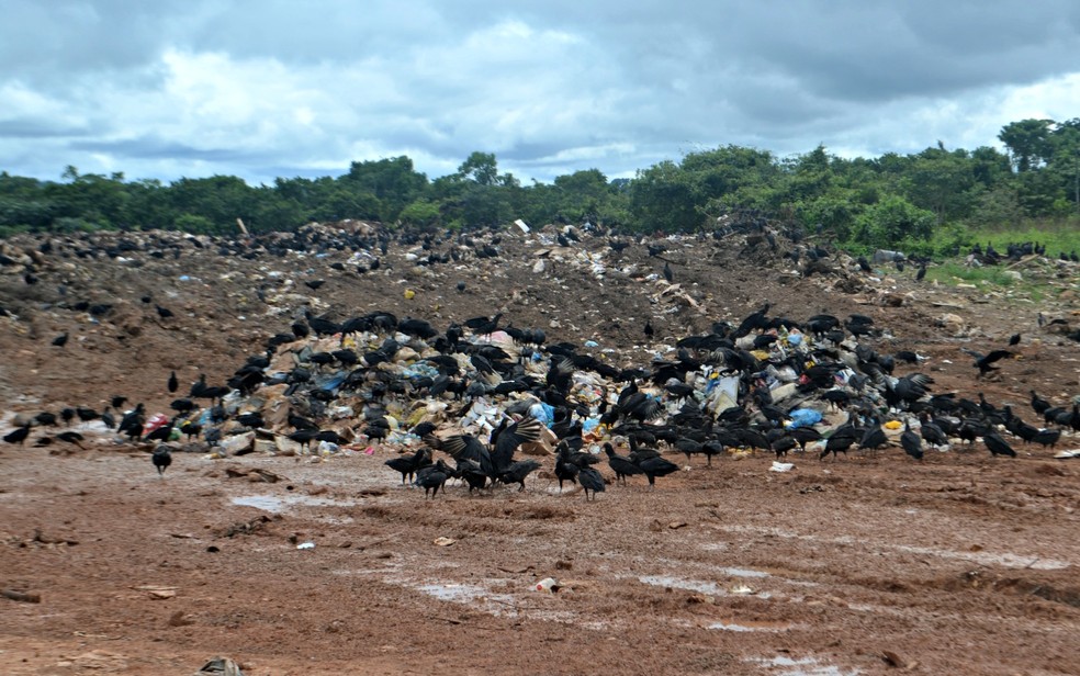 Cruzeiro do Sul quer ser a primeira cidade do AC a transformar lixo em energia elétrica — Foto: Anny Barbosa/G1