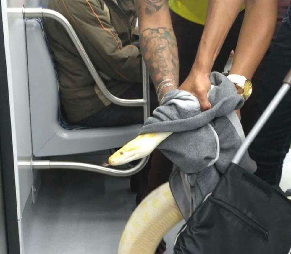 Cobra levada por trio em trem da CPTM assusta passageiros em trajeto das estaÃ§Ãµes Luz e TatuapÃ© (Foto: ReproduÃ§Ã£o/Redes sociais)