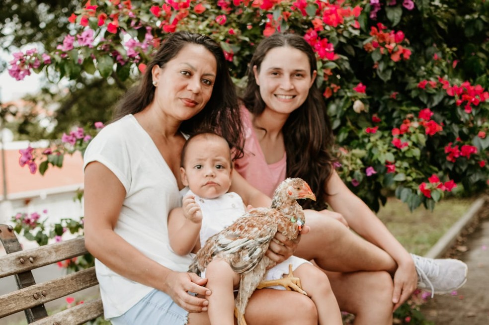 Romeo chegou para completar a família de Botucatu — Foto: Amanda Moraes Fotografia/Divulgação