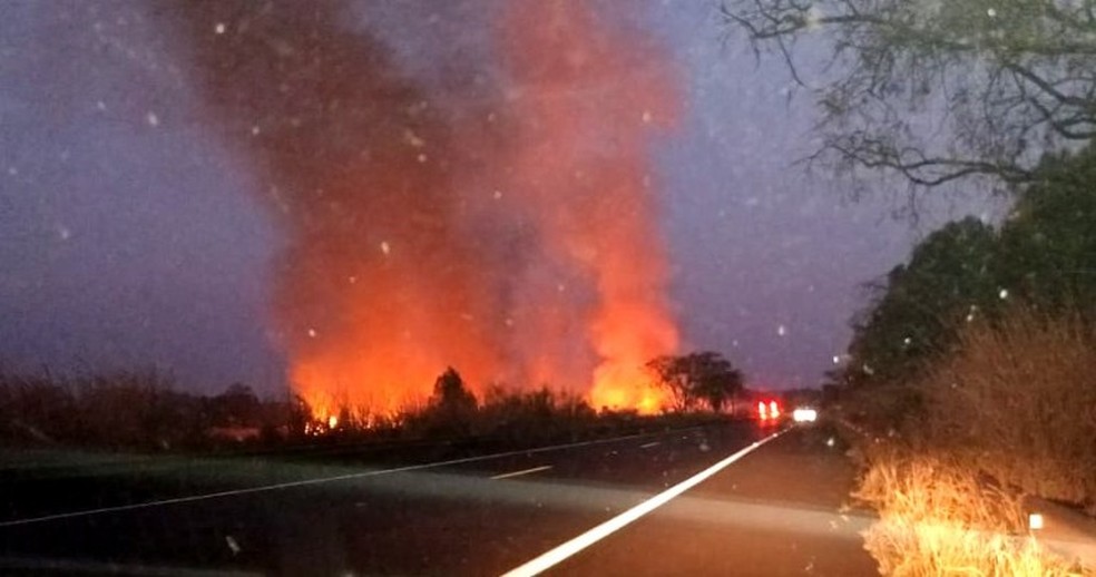 Incêndio atinge área de mata em Pirassununga — Foto: Repórter Naressi