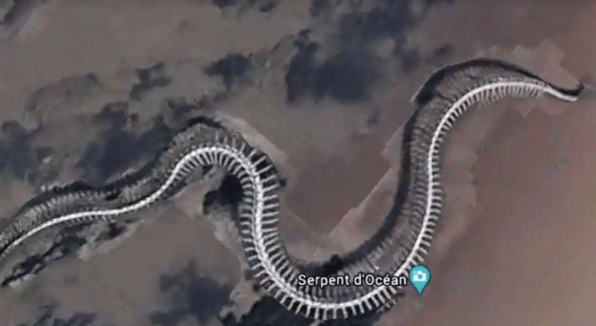 Esqueleto gigante de cobra encontrado no Google Maps gera polêmica