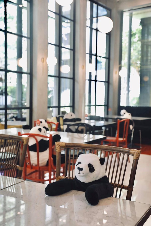 Restaurante usa pandas de pelúcia para ensinar distanciamento social (Foto: Reprodução/Facebook @maisonsaigon)