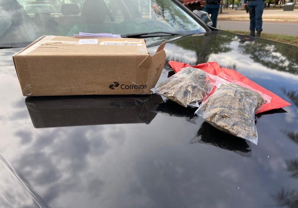 Médico é preso por tráfico de drogas ao pegar encomenda com skank em agência dos correios, em MS. — Foto: Rádio Caçula/Foto