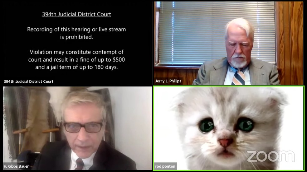 Advogado ativa filtro de gato durante julgamento virtual pelo Zoom nos Estados Unidos. — Foto: Reprodução.
