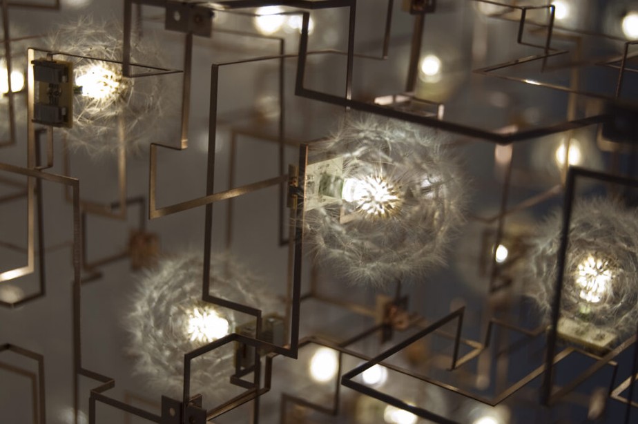 'Fragile future' é feita com 15 mil sementes de dente-de-leão, colhidas manualmente e acompladas a luzes de led