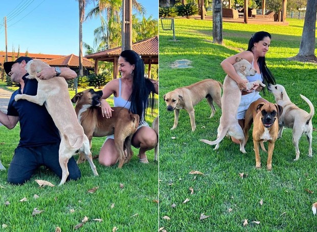 Zezé Di Camargo e Graciele Lacerda adotaram os cinco cães que moram na fazenda (Foto: Instagram/@gracielelacerdaoficial/Reprodução)